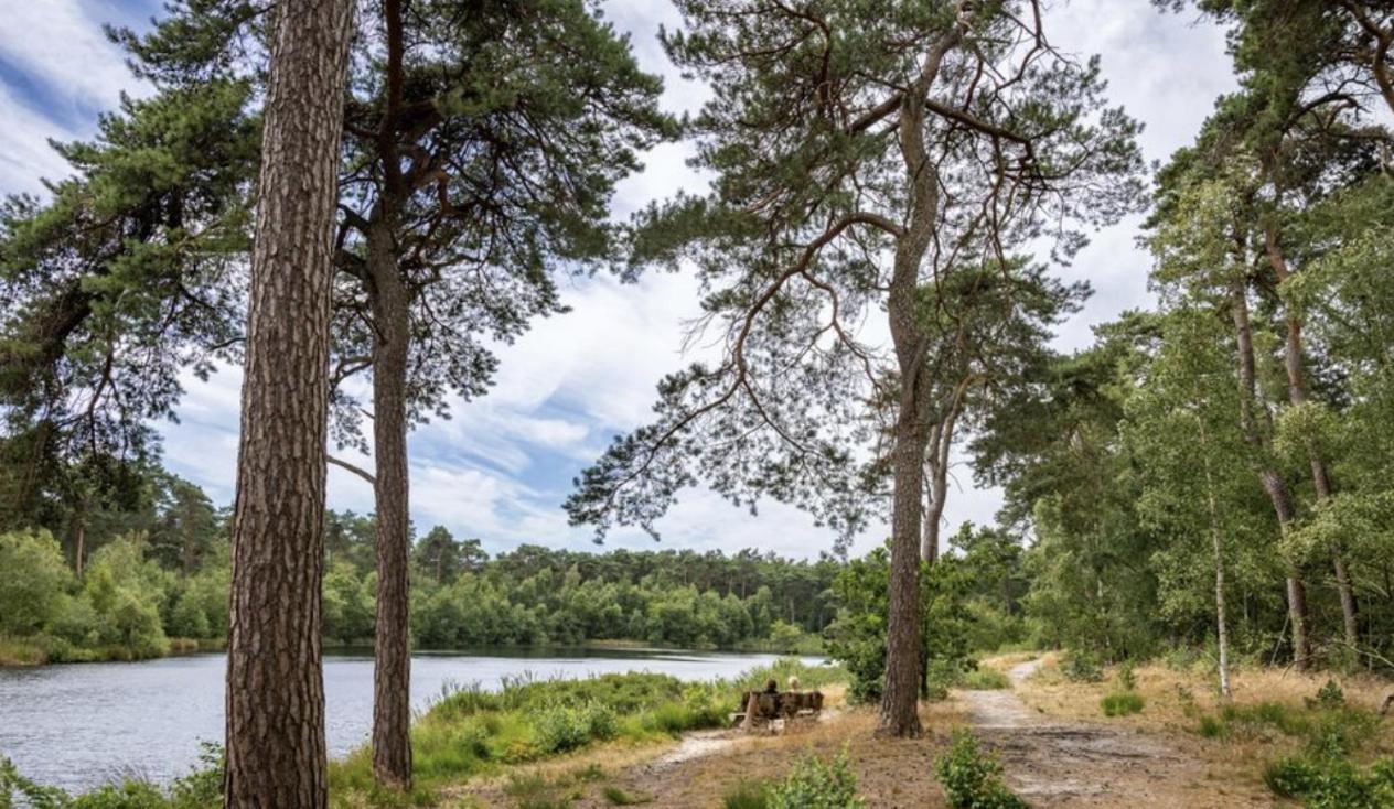 29, Natuurlijk Gelegen Nabij Efteling En Beekse Bergen, Airco & Prive Parkeren Inbegrepen! Oisterwijk Eksteriør bilde